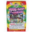 Picture of Ground Blooms (6 Pack)