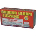 Picture of Ground Blooms Brick
